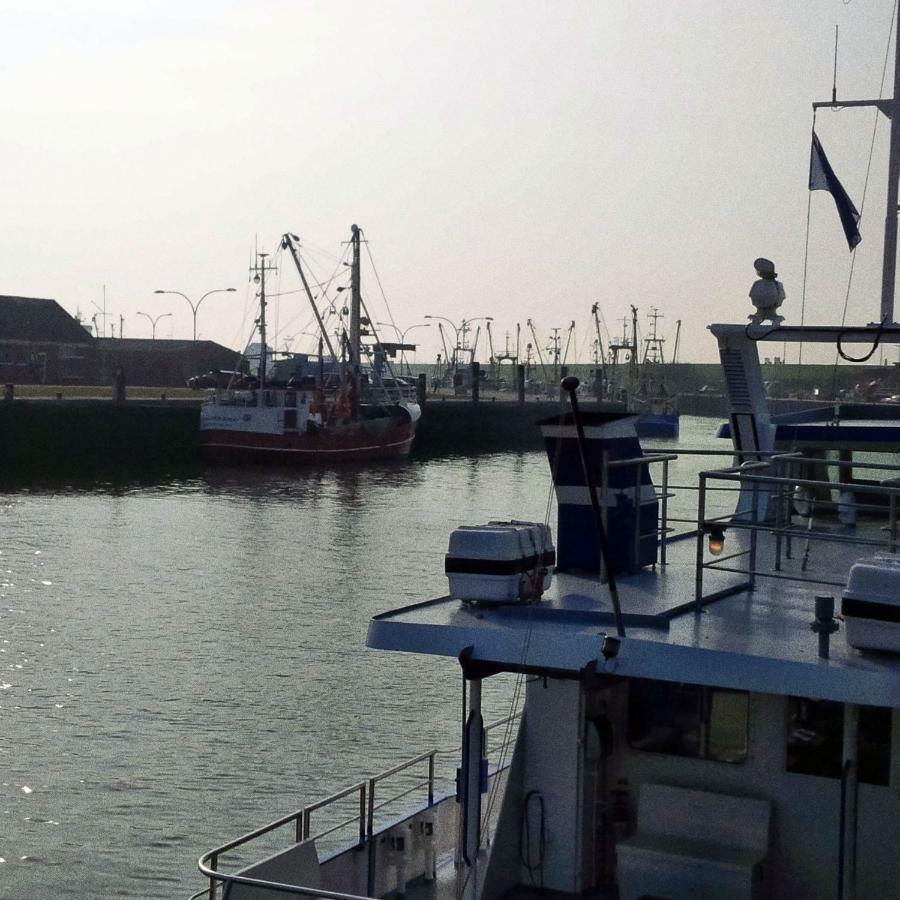 Haus Tertius - Strand- Und Hafennahe Ruhige Ferienwohnung Büsum Zewnętrze zdjęcie