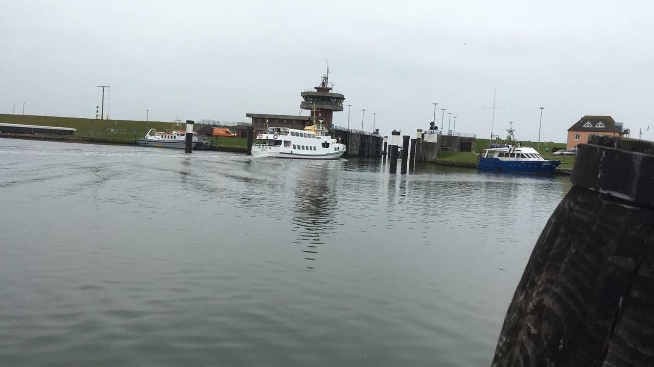 Haus Tertius - Strand- Und Hafennahe Ruhige Ferienwohnung Büsum Zewnętrze zdjęcie